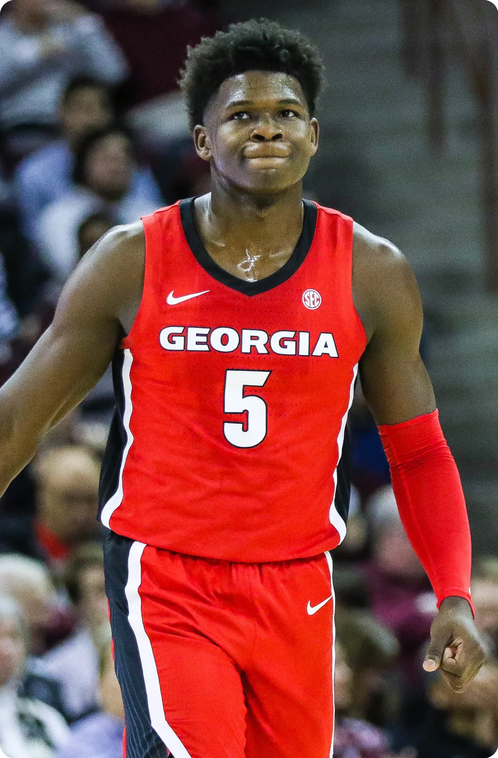 Contributions at FIBA Competitions